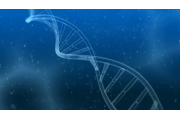 Śledzenie naprawy DNA w czasie rzeczywistym